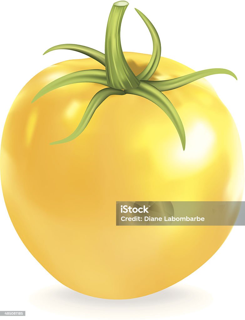 Żółty Tradycyjna odmiana pomidora - Grafika wektorowa royalty-free (Domowa uprawa)