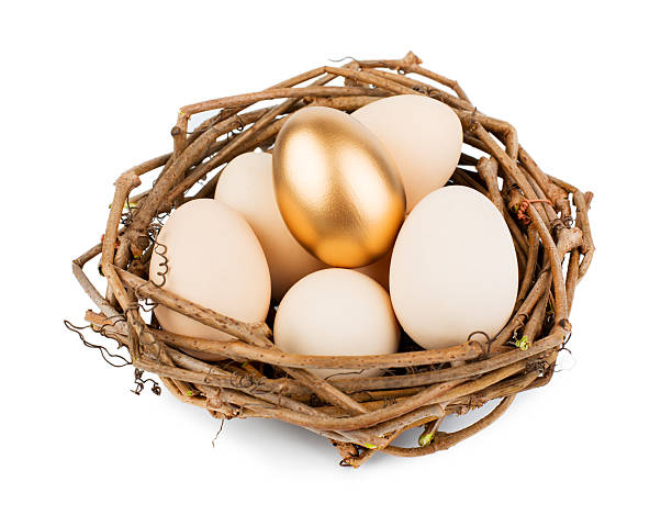 ovo de ouro - wealth eggs animal egg easter egg imagens e fotografias de stock