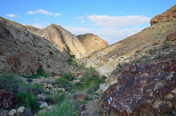 istock Desert wadi in Negev at spring, Israel. 485082045