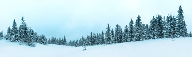 istock Beautiful winter landscape with snow covered trees 485082890