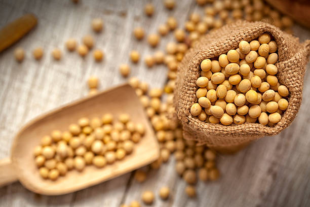 Soy beans Soy beans on the wooden table estrogen photos stock pictures, royalty-free photos & images