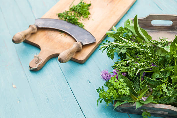 chopper with herbs on a wooden cutboard chopper with cutted herbs on a wooden cutboard and a wooden tray with fresh herbs mezzaluna stock pictures, royalty-free photos & images