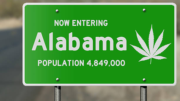 istock Alabama highway sign with marijuana leaf 485094848