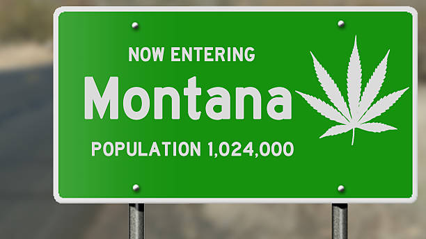 istock Montana highway sign with marijuana leaf 485094870