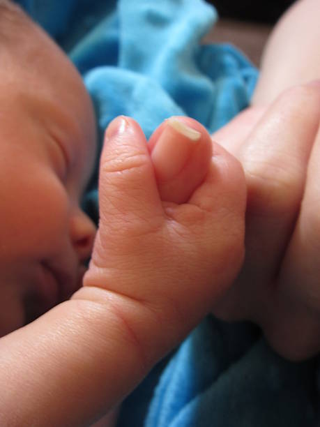 Newborn Baby Gripping Little Finger, Vertical stock photo