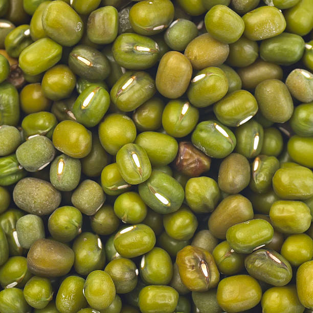 kacang hijau 、緑豆 - variation bean beige cannellini bean ストックフォトと画像