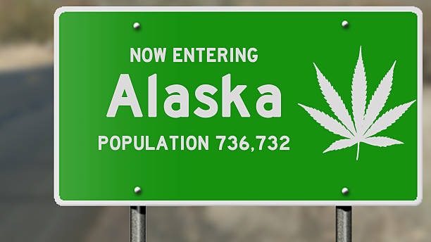 istock Alaska highway sign with marijuana leaf 485107230