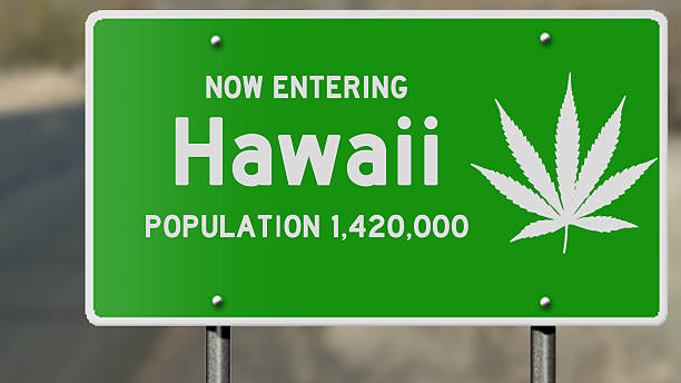 istock Hawaii highway sign with marijuana leaf 485107238