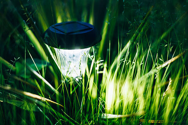 Small Solar Garden Light, Lantern In Flower Bed. Garden Design.
