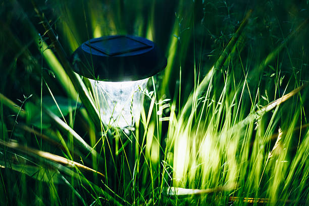 Small Solar Garden Light, Lantern In Flower Bed. Garden Design. Small Solar Garden Light, Lanterns In Flower Bed. Garden Design. Solar Powered Lamp oświetlenie ogrodu stock pictures, royalty-free photos & images