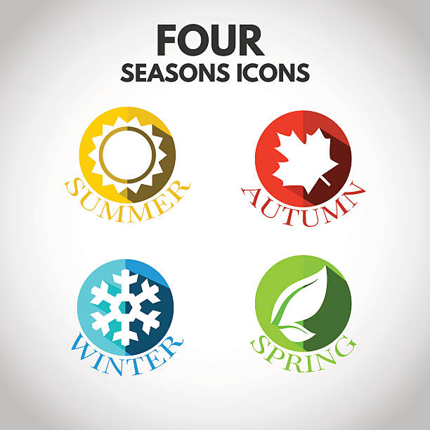 illustrations, cliparts, dessins animés et icônes de icônes de four seasons - plan flower arrangement single flower blue