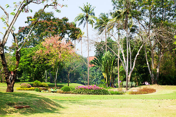 istock Rama 2 Park in Amphawa 485112160