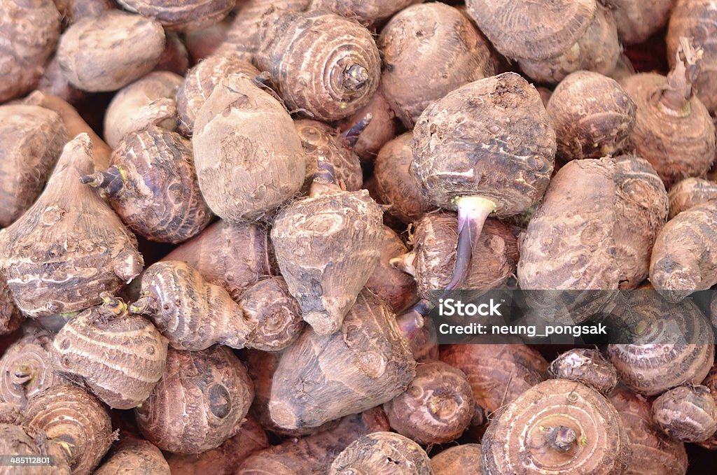 Fresca taro raíz - Foto de stock de Aburrimiento libre de derechos