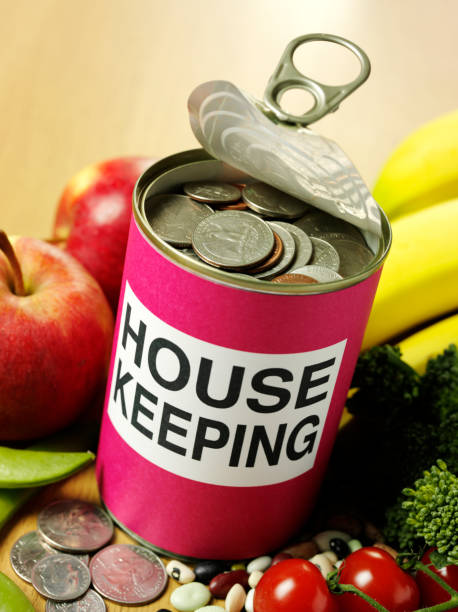 istock House Keeping Savings in Tin Can with Fruit and Vegetables 485113031