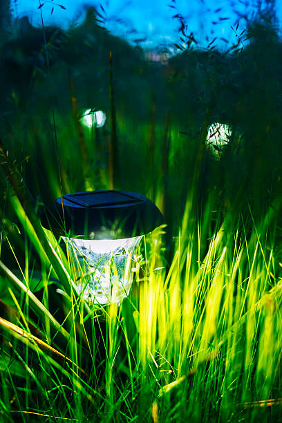 istock Small Solar Garden Light, Lantern In Flower Bed. Garden Design. 485116936