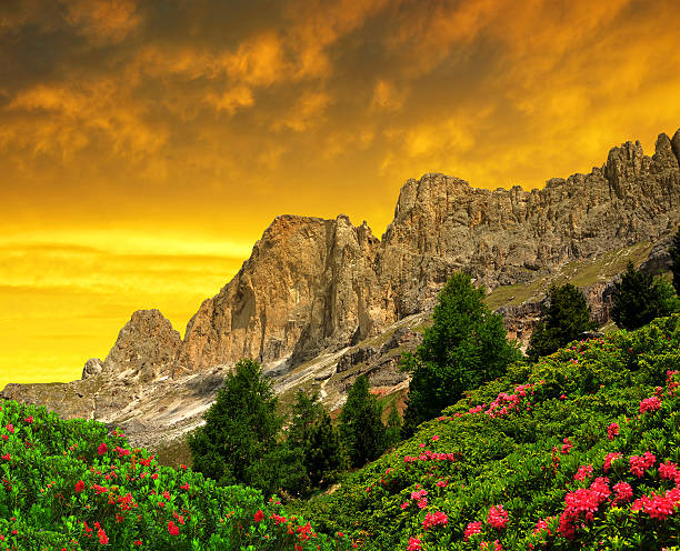 доломит пиков розенгартен-италия - european alps tirol rhododendron nature стоковые фото и изображения