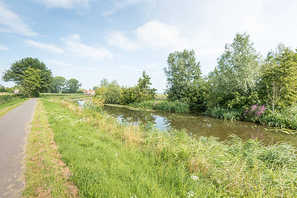 istock Narrow stream in a rural landscape in summertime 485119070