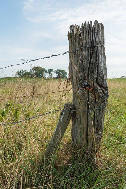 istock Weathered wooden post with barbed wire from close 485120386