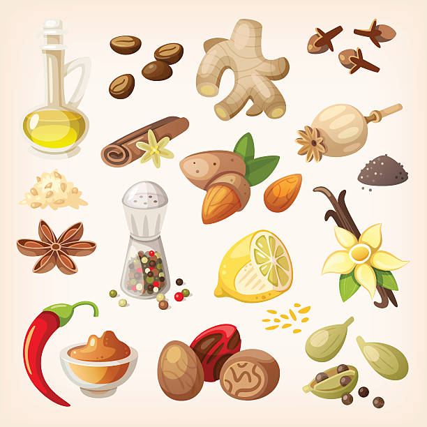 ilustraciones, imágenes clip art, dibujos animados e iconos de stock de colorido especias de condimentos y - nutmeg india spice nut