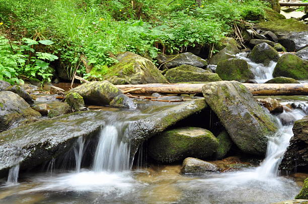 Gully with waterfall and green moss captured during a long exposure. Scenic nature background landscape.