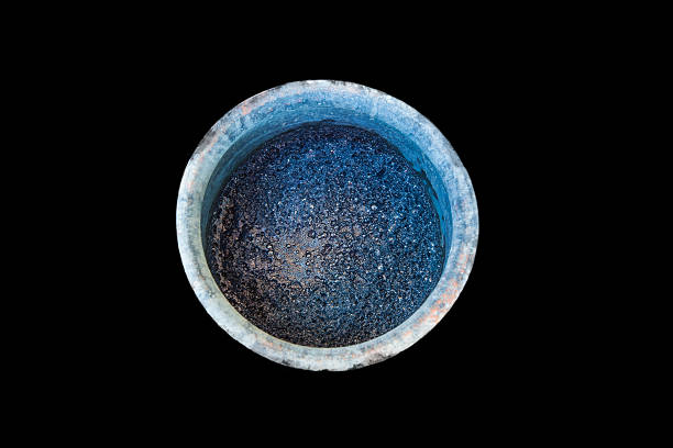 Indigofera tinctoria in fermenter on black background