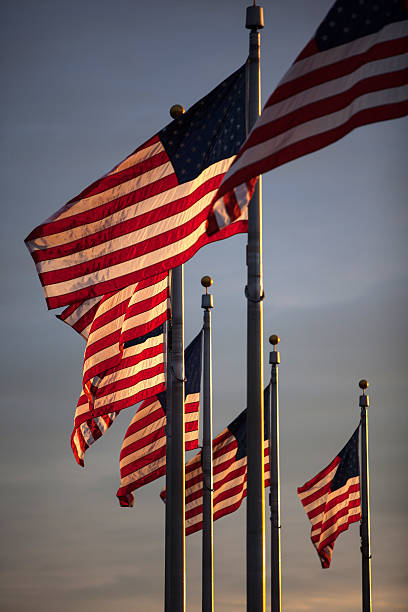 American Flags on The Mall in Washington DC. stock photo