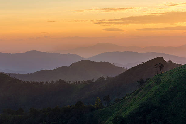 istock The layer of the nature 485125448