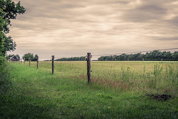 istock Wooden fence on a green field 485125822