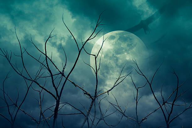 istock Spooky forest with full moon and dead trees, Halloween background 485128458