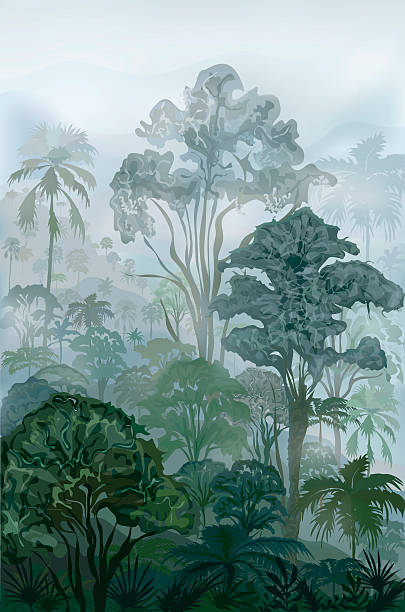 ilustrações, clipart, desenhos animados e ícones de floresta tropical - treetop