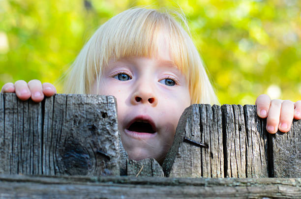 istock Cute little girl peering over a rustic fence 485130444