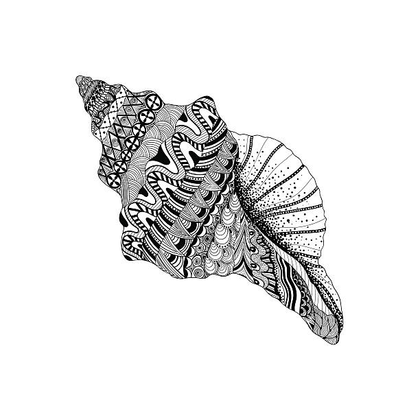 黒海 cockleshell zentangle 図案化されています。手描き水中テリトリ - wildlife aquatic beauty in nature tropical climate点のイラスト素材／クリップアート素材／マンガ素材／アイコン素材