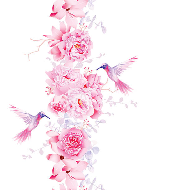 부드러운 동백, peonies 및 매그놀리아 꽃 - magnolia single flower flower spring stock illustrations