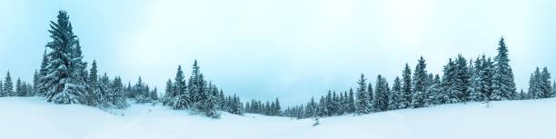 istock Beautiful winter landscape with snow covered trees 485142884