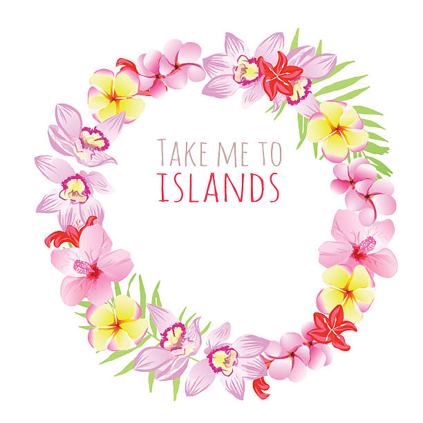 illustrazioni stock, clip art, cartoni animati e icone di tendenza di take me to isole cornice rotonda. design modello con fiori. - hibiscus single flower flower red