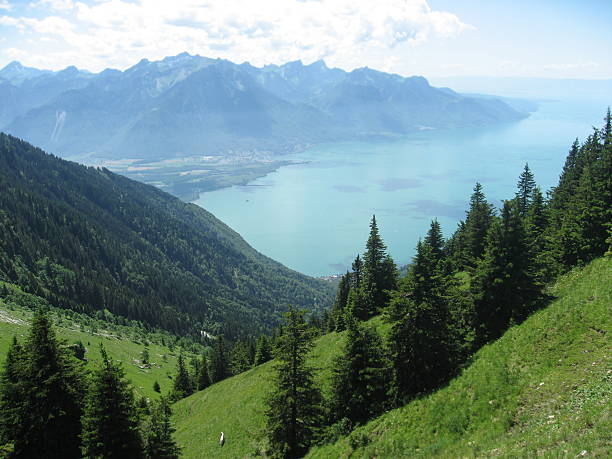 Lake Leman as seen from Rochers-des-Nayes