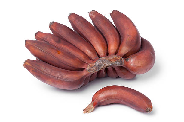 Bunch of fresh ripe red bananas on white background