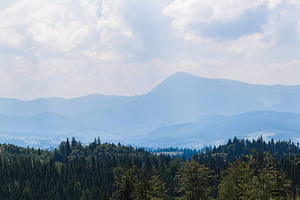 istock summer landscape in Carpathians 485150548