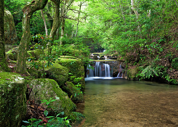 istock Small water fall in a forest Japan 485151172