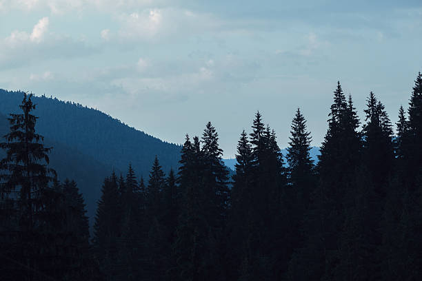 istock summer landscape in Carpathians 485151592