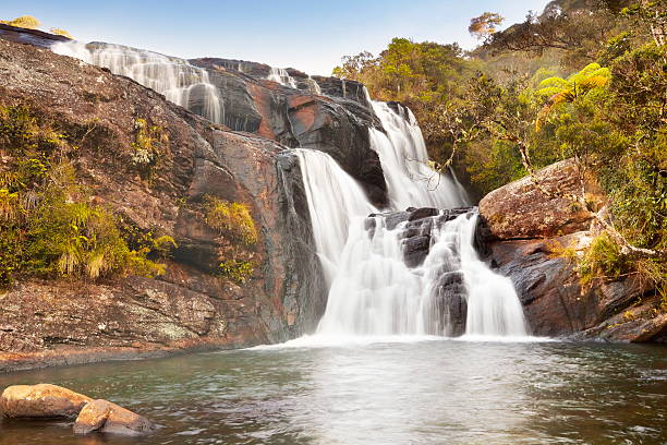 istock Horton Plain National Park, Sri Lanka 485155858
