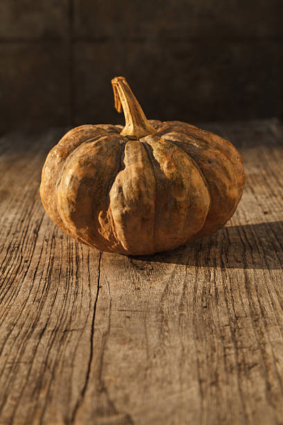 Pumpkin on wood stock photo