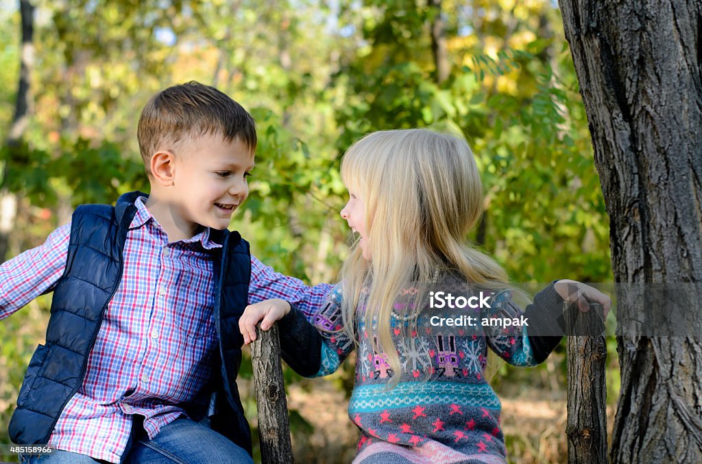 Kids Sitting on the Fence Holding on the Brace Close up Young Boy and Girl Sitting on the Garden Fence While Holding on the Wooden Brace Child Stock Photo