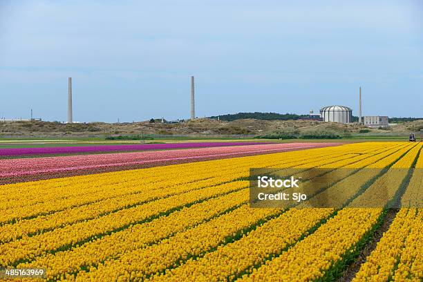 Petten Reactor Nuclear Foto de stock y más banco de imágenes de Central nuclear - Central nuclear, Países Bajos, Petten