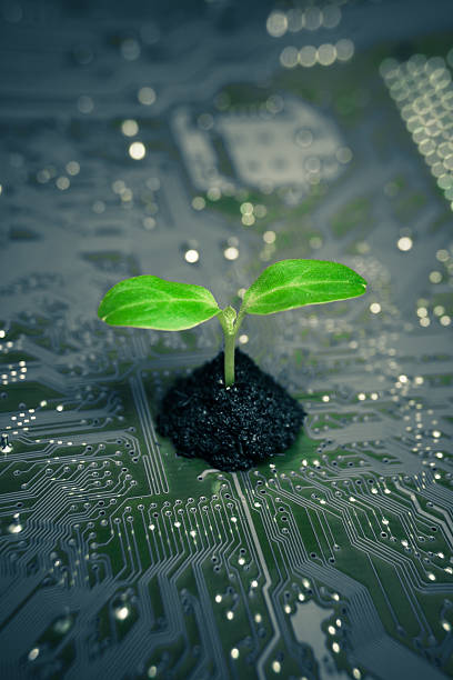 green computing stock photo