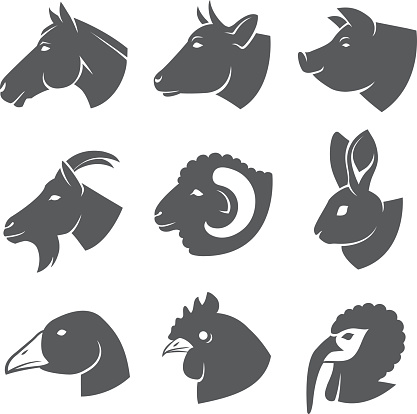 Farm animals and birds icon set