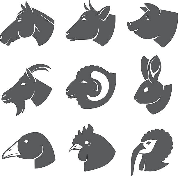 Farm animals Farm animals and birds icon set pig silhouettes stock illustrations