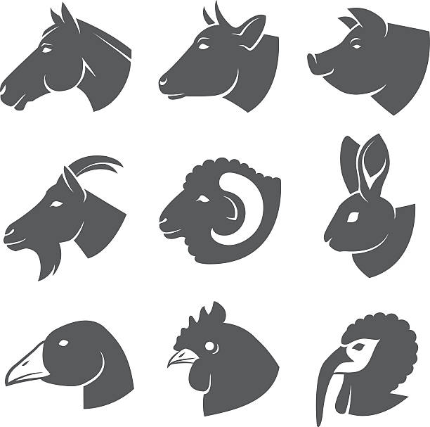 Farm animals Farm animals and birds icon set horse head vector stock illustrations