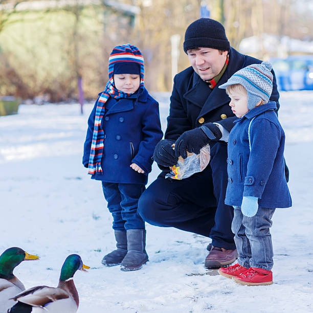 istock Two little cute funny twin boys and  dad feeding ducks 485166184