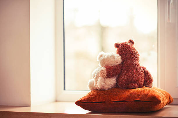 sweet couple teddy bear